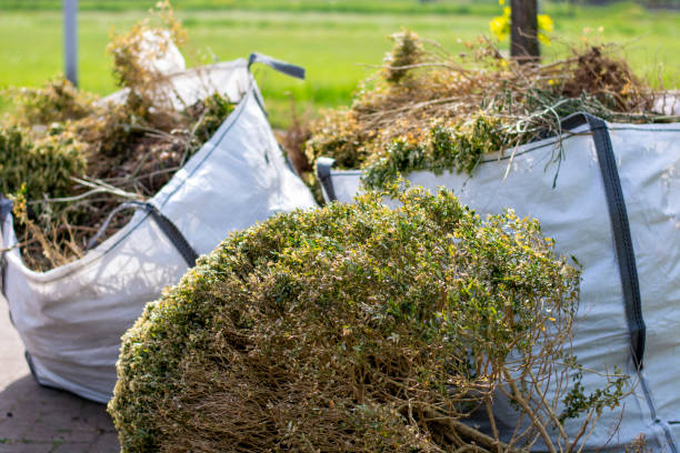 Debris Removal in Lake Riverside, CA